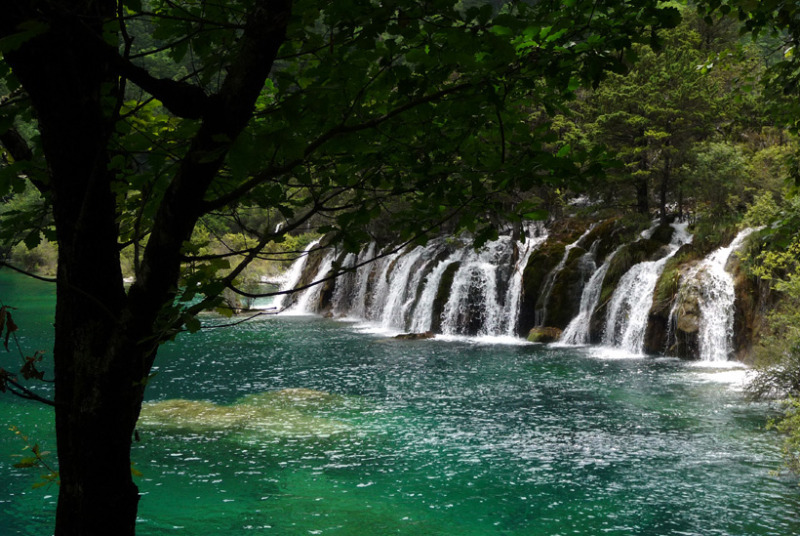 不思議大好き　ババタヌキ-日之本元極気功教室　滝